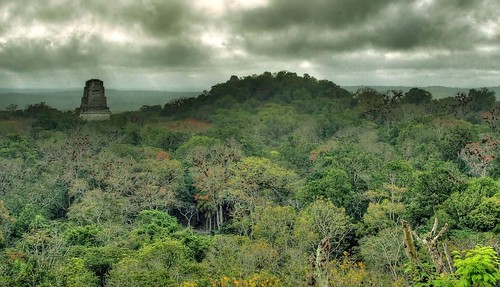 Selva Petenera (Jungle Peten), Parque de Tikal