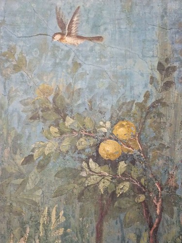 Fresco detail from the Villa of Livia excavated at Prima Porta outside Rome, Italy.