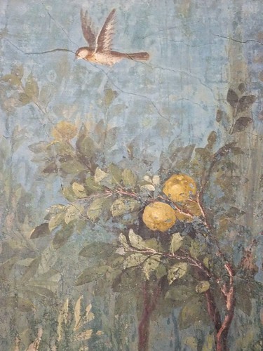 Villa of Livia at Prima Porta – The Roman Villa & The Culture of Bird