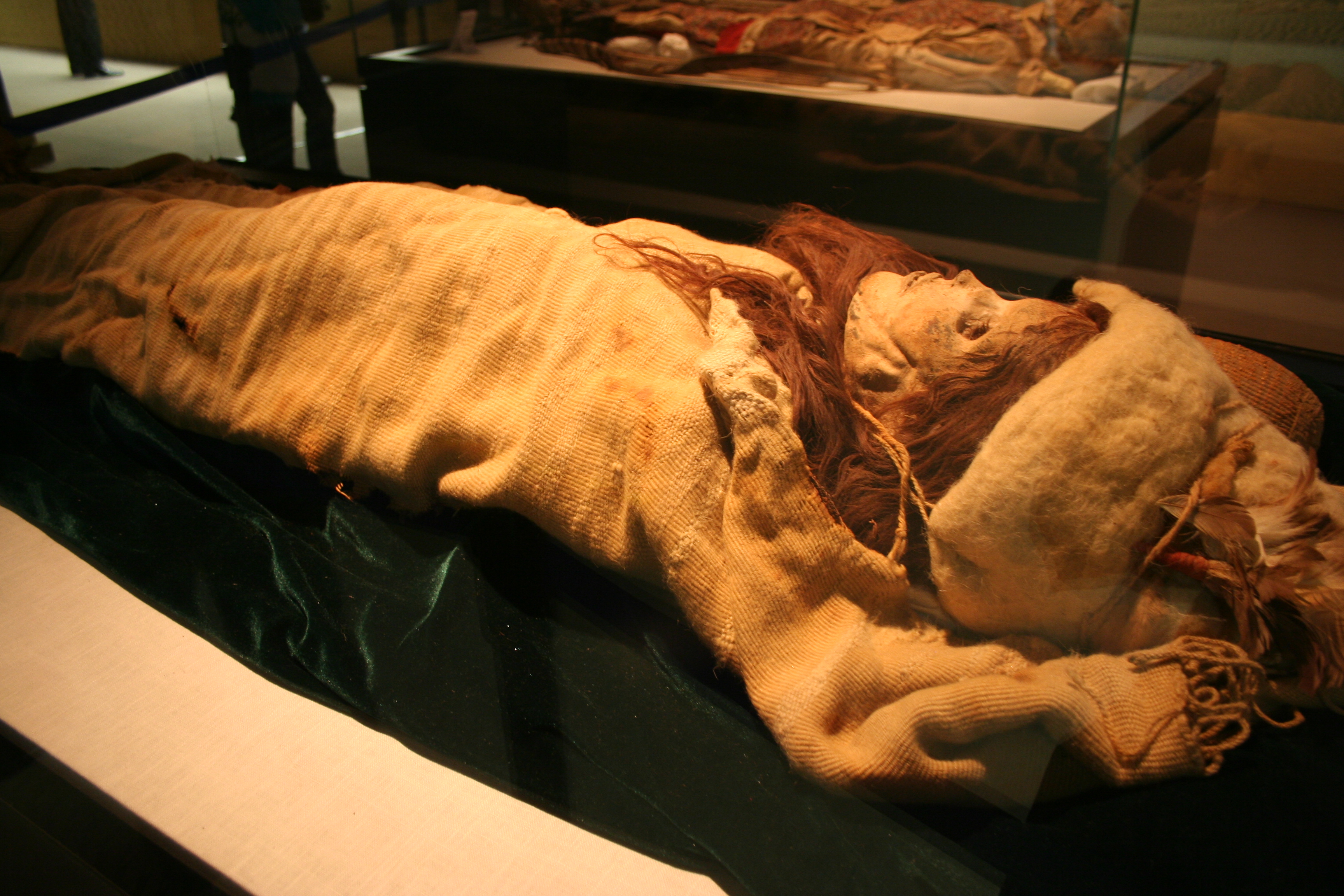 tarim basin mummies