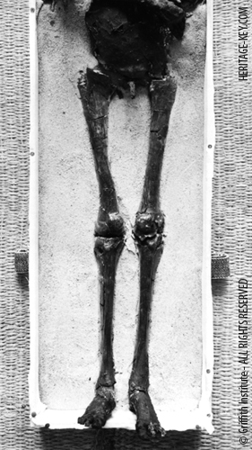 King Tut appeared to have a rather modest-sized penis. Image Copyright - The Griffith Institute.
